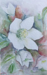 Umetniška slika "Cvetje/Teloh beli