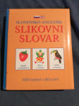 Slovensko -angleski slikovni slovar
