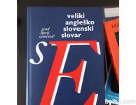 Veliki angleško - slovenski slovar