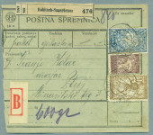 SHS Slovenija