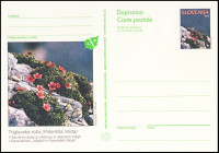 SLOVENIJA 1995 FLORA TRIGLAVSKA ROŽA ** Št. 18 ** dopisnica