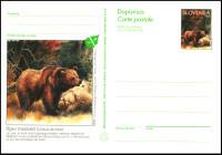 SLOVENIJA 1995 RJAVI MEDVED ŽIVALI FAVNA ** Št. 19 ** dopisnica