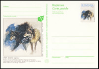 SLOVENIJA 1995 VOLK ŽIVALI FAVNA ** Št. 20 ** dopisnica