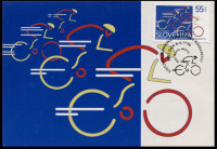 SLOVENIJA 1996 KOLESARSTVO NOVO MESTO ** maksimum karta (M01)