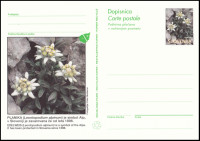 SLOVENIJA 1996 PLANIKA FLORA RASTLINE ** Št. 22 ** dopisnica
