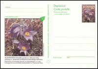 SLOVENIJA 1996 VELIKONOČNICA FLORA RASTLINE ** Št. 23 ** dopisnica