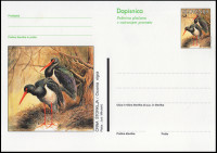 SLOVENIJA 1997 ČRNA ŠTORKLJA ŽIVALI ** Št. 28 ** dopisnica