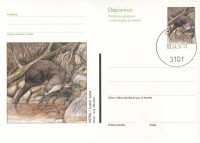 SLOVENIJA 1997 VIDRA ŽIVALI ** Št. 29 ** dopisnica (žigosana)