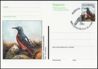 SLOVENIJA 1998 PTICA SLEGUR ŽIVALI * Št. 38 * dopisnica (žig prvi dan)