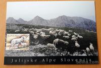 Slovenija 2003 - Maximum carta Ovce