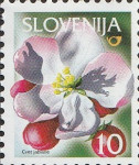 SLOVENIJA 2005 - (MI.528)  CVET JABLANE
