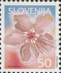 SLOVENIJA 2005 - (MI.530)  CVET BRESKVE