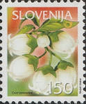 SLOVENIJA  2005 - (MI.533)  CVET BOROVNICE