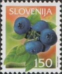 SLOVENIJA 2005 - (MI.535)  GOZDNA BOROVNICA