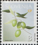 SLOVENIJA 2005 - (MI.552)  ISTRSKA BELICA