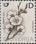 SLOVENIJA 2005 - (MI.553)  CVET MARELICE