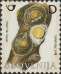 SLOVENIJA 2005 - (MI.555) AMERIŠKI KAPAR