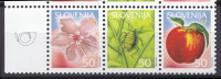 SLOVENIJA 2005 SADNE VRSTE BRESKEV ** zamik tiska navzgor