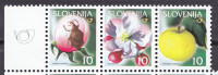 SLOVENIJA 2005 SADNE VRSTE JABOLKO ** zamik tiska levo