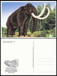 SLOVENIJA 2013 MAMUT NEVLJE PRIRODOSLOVNI MUZEJ ** razglednica (M02)
