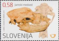SLOVENIJA 2016 - (MI.1186)  FOSIL JAMSKEGA MEDVEDA