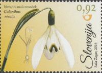 SLOVENIJA 2016 - (MI.1189)  NAVADNI MALI ZVONČEK