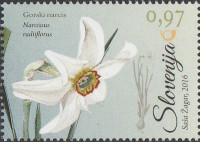 SLOVENIJA 2016 - (MI.1190)  GORSKI NARCIS