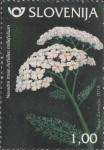 SLOVENIJA 2018 - (MI.1298)  NAVADNI RMAN
