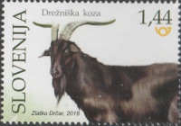 SLOVENIJA 2018 - (MI.1324)  DREŽNIŠKA KOZA
