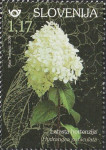 SLOVENIJA 2019 - (MI.1357)  LATASTA HORTENZIJA