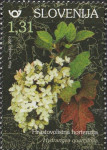 SLOVENIJA 2019 - (MI.1359)  HRASTOVOLISTNA HORTENZIJA