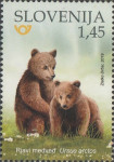 SLOVENIJA 2019 - (MI.1381)  RJAVI MEDVED