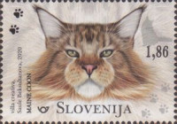 SLOVENIJA 2020 - (MI.1439)  MAČKA MAINE COON