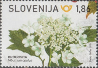 SLOVENIJA 2021 - (MI.1472)  BROGOVITA