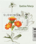 SLOVENIJA 2024 - ( blok 158 )  ORANŽNA ŠKRŽOLICA