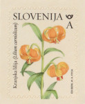 SLOVENIJA 2024 - (MI.1609)  KRANJSKA LILIJA  "A"