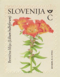 SLOVENIJA 2024 - (MI.1611)  BRSTIČNA LILIJA  "C"