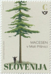 SLOVENIJA 2024 - (MI.1621)  MACESEN V MALI PIŠNICI  "C"