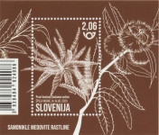 SLOVENIJA 2025 - ( blok 166 )  MEDOVITE RASTLINE - KOSTANJ