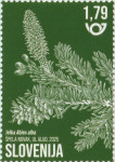 SLOVENIJA 2025 - (MI.1676)  JELKA