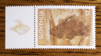 Slovenija 466 fosili oligocenska riba Slivje Olimje privesek D **(max)