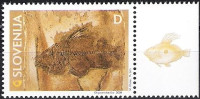 Slovenija 466 fosili oligocenska riba Slivje Olimje privesek L **(max)