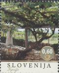 SLOVENIJA - (MI.1054)  TRTA REFOŠKA ŠEPULJE