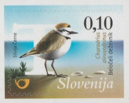 SLOVENIJA - (MI.1145)  BELOČELI DEŽEVNIK