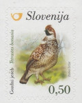 SLOVENIJA - (MI.1196)  GOZDNI JEREB
