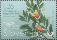 SLOVENIJA - (MI.1254)  NAVADNA JAGODIČNICA