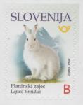 SLOVENIJA - (MI.1317)  PLANINSKI ZAJEC