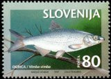 SLOVENIJA - (MI.180)  OGRICA