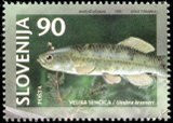 SLOVENIJA - (MI.185)  VELIKA SENČICA