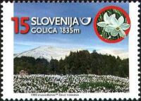SLOVENIJA - (MI.255)  GOLICA